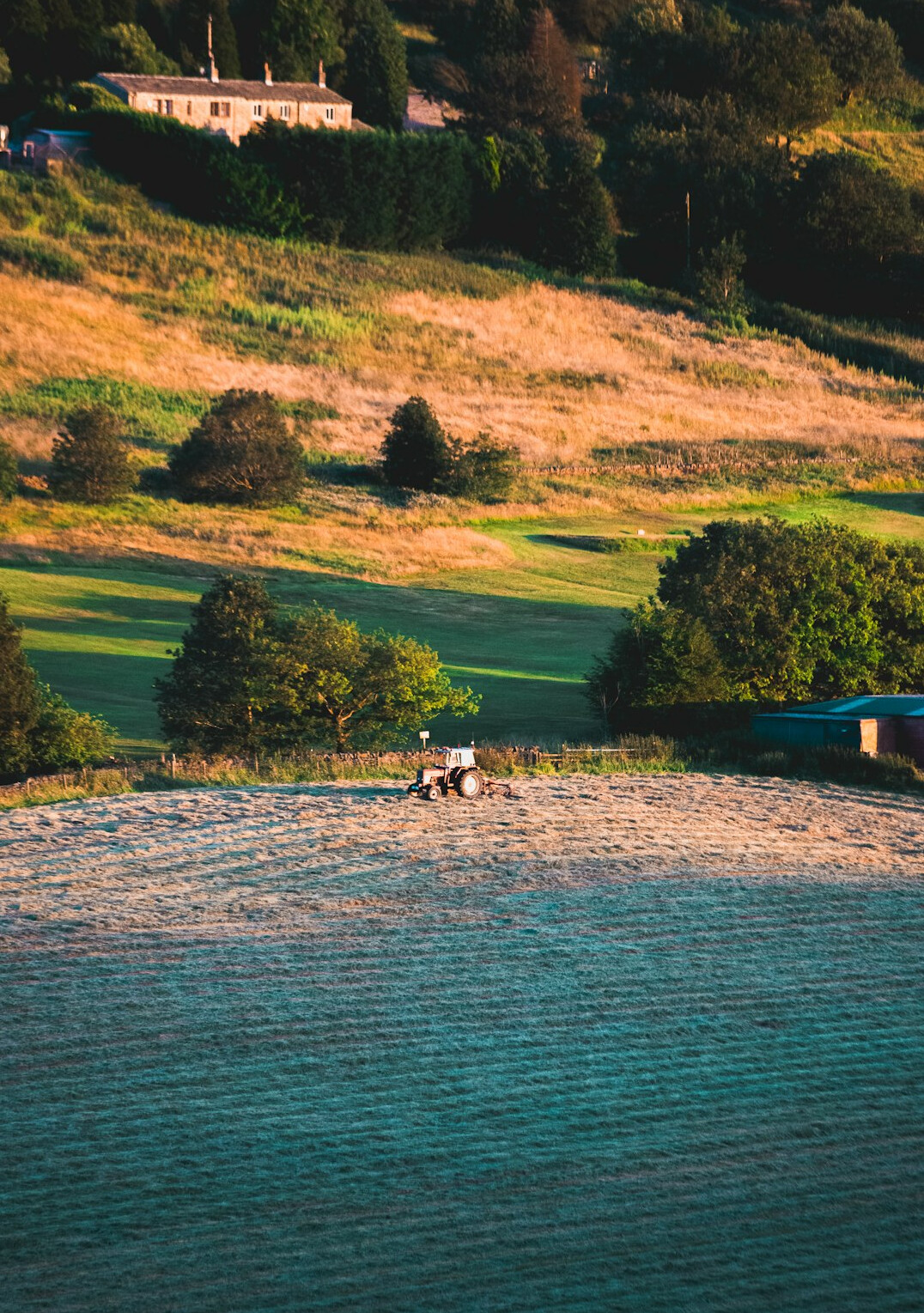 golden hour sunlight on landscape